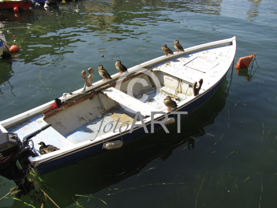 Belagertes Boot, Lazise, Gardasee