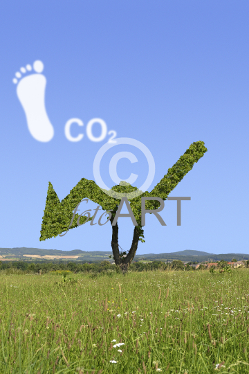 CO2-Fußabdruck - co2 footprint