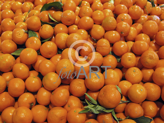Viktualienmarkt München: Clementine